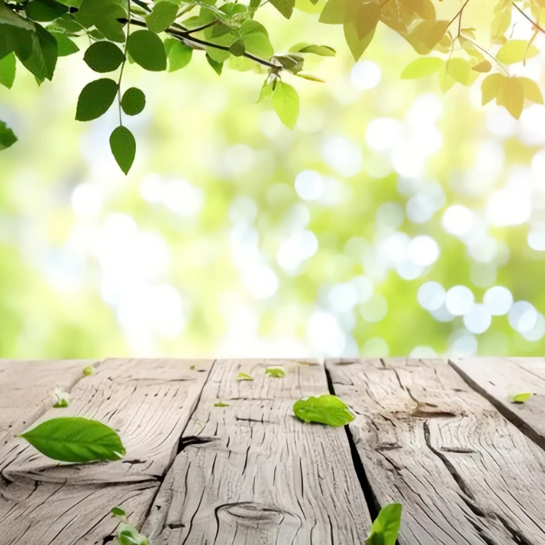 The Environment [photograph]